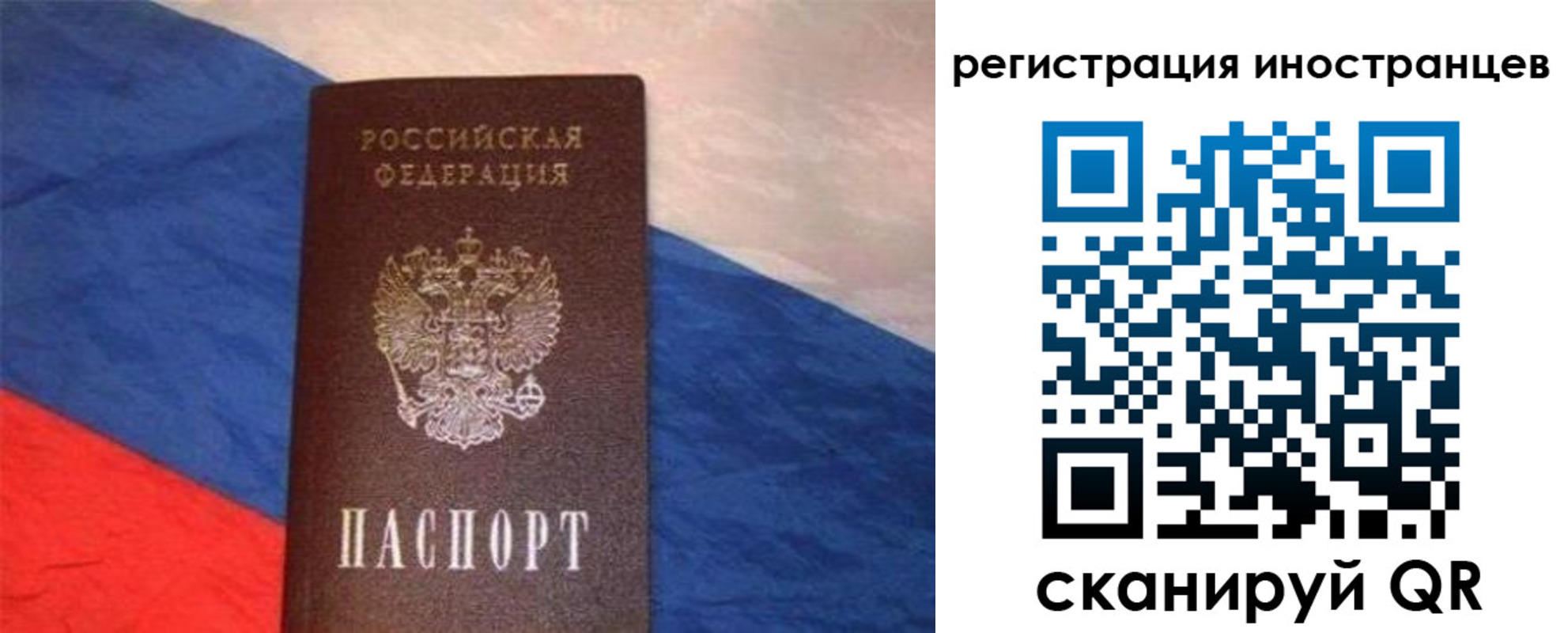 прописка в Димитровграде